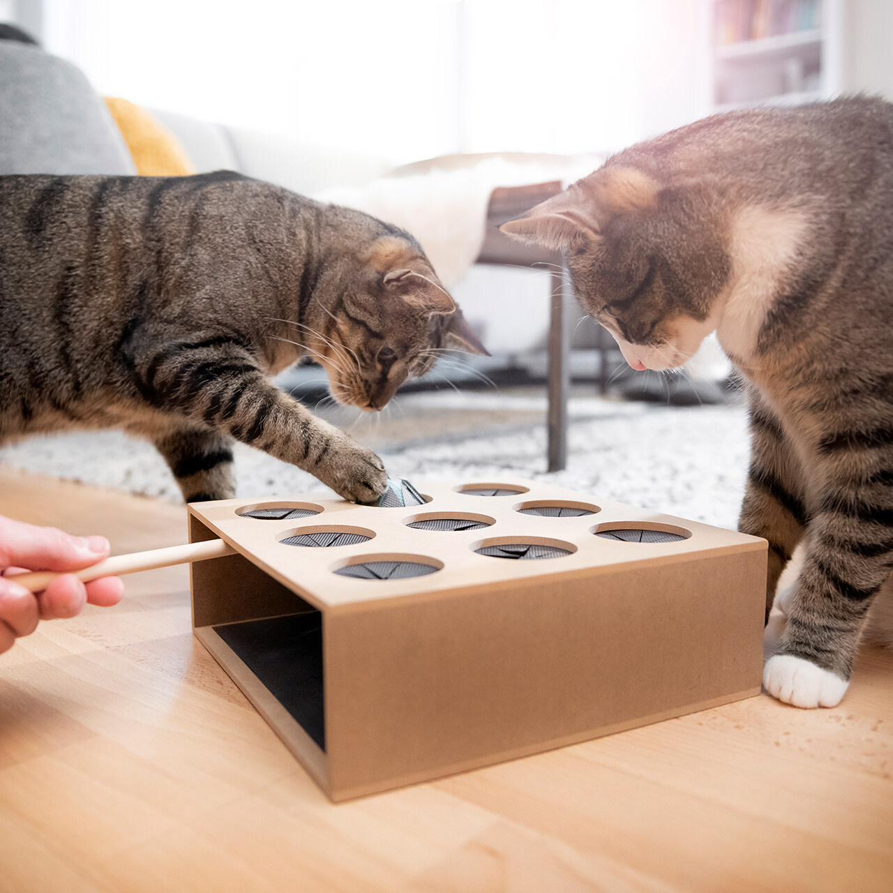 Canadian Cat Company Intelligenzspielzeug Canadian Cat Company Katzenspielzeug Fang die Maus