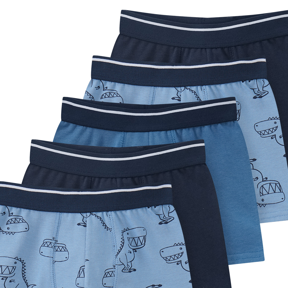 5 Jungen Boxer in verschiedenen Dessins
