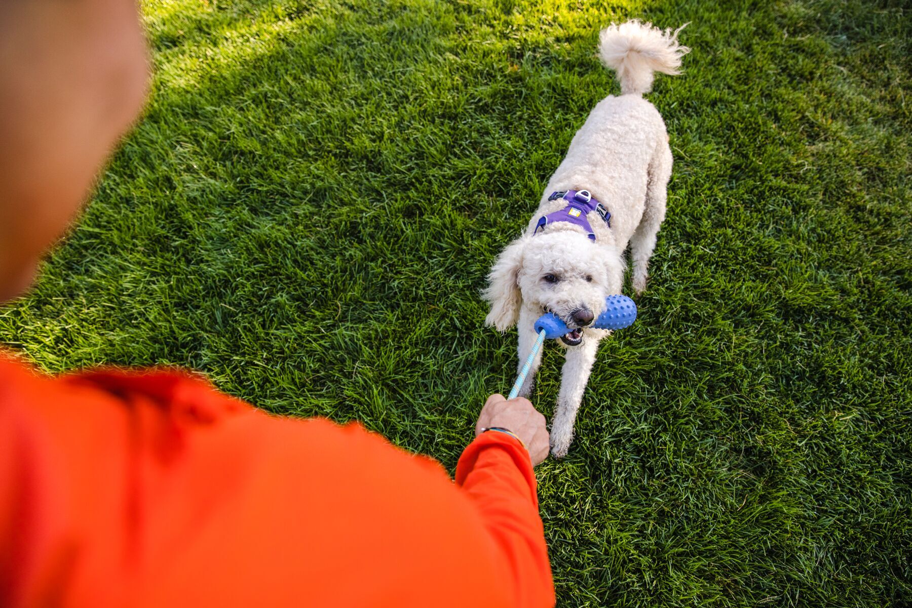 Ruffwear Frisbees & Wurfspielzeug Ruffwear Gourdo™ Spielzeug L violett