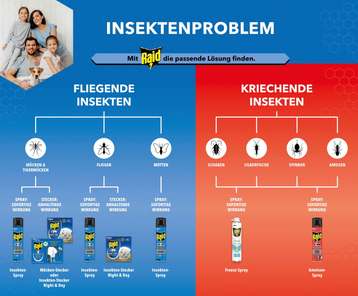 Ameisen-Spray, 0,4 l