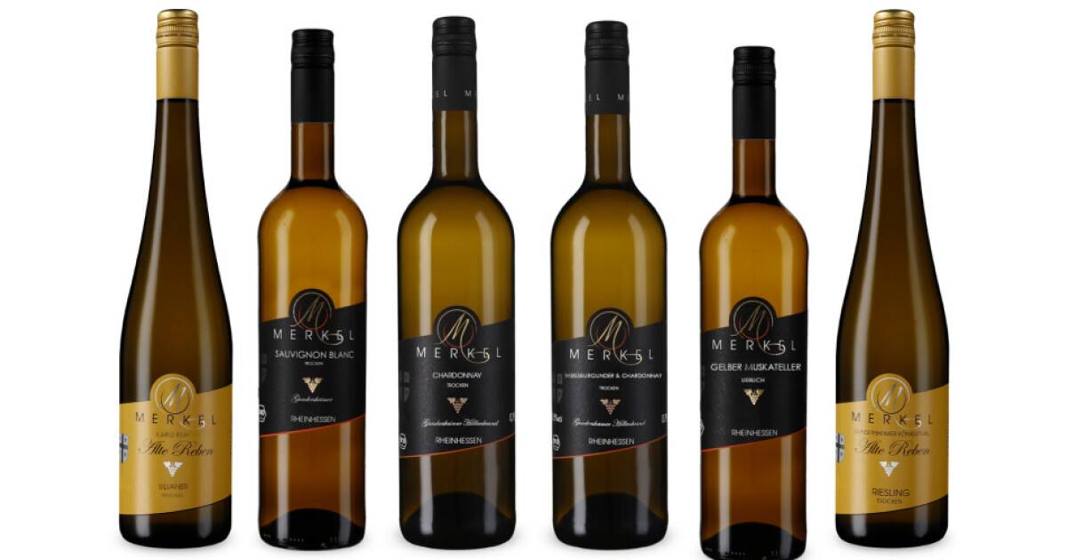 Weißweinpaket- vom Kalkstein geprägt von Burgunderhof Merkel günstig bei wein.de kaufen