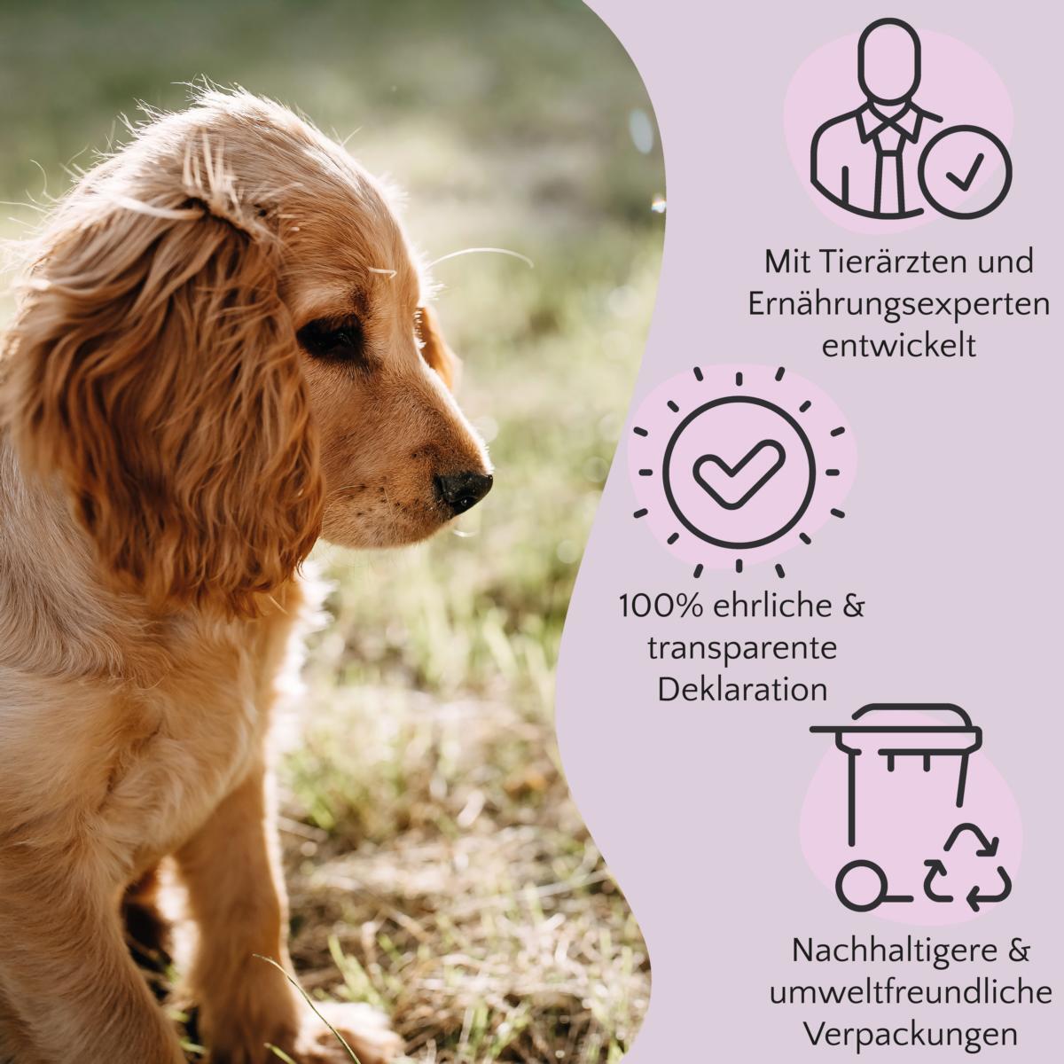 FAVLY Petfood Hundenassfutter FAVLY Petfood Nassfutter Ente mit Hirse & Spinat 24x400 g