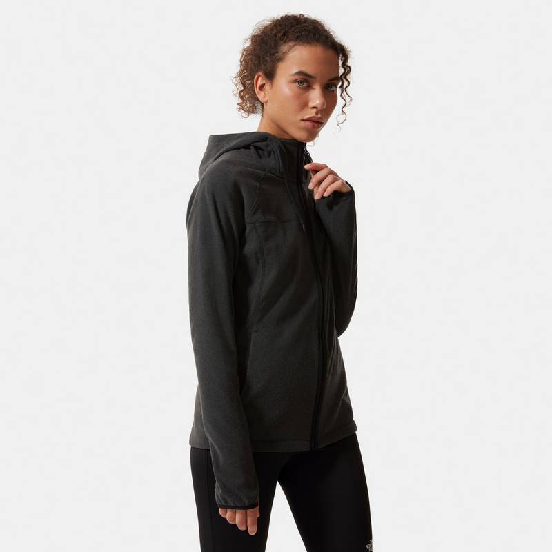 The North Face HOMESAFE Fleecejacke Damen