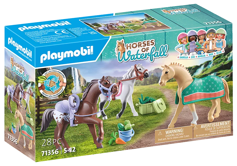 3 Pferde: Morgan, Quarter Horse & Shagya Araber