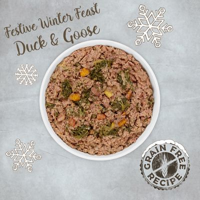 Rosie's Farm Winter-Edition: Ente und Gans