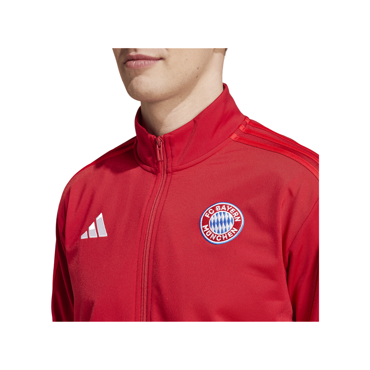 adidas FC Bayern München DNA Sweatshirt Rot