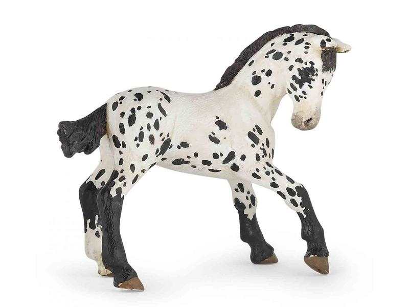 Figurine  Poulain appaloosa