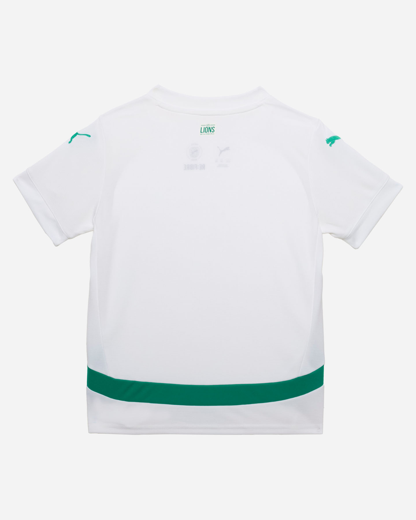 Oficjalna replika koszulki piłkarskiej Puma Senegal Home Jr 778569-01