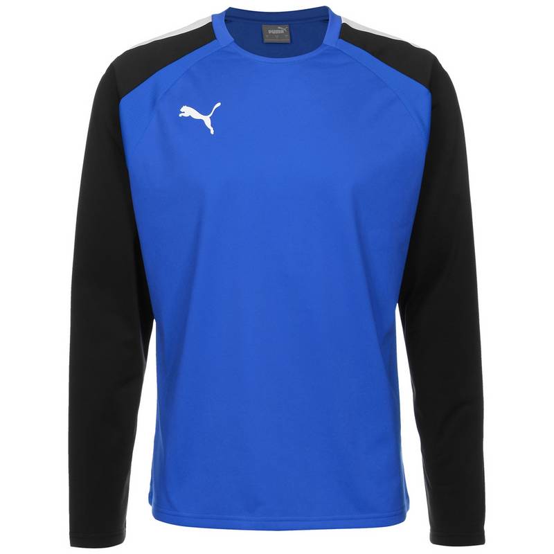 PUMA TeamLIGA Funktionssweatshirt Herren