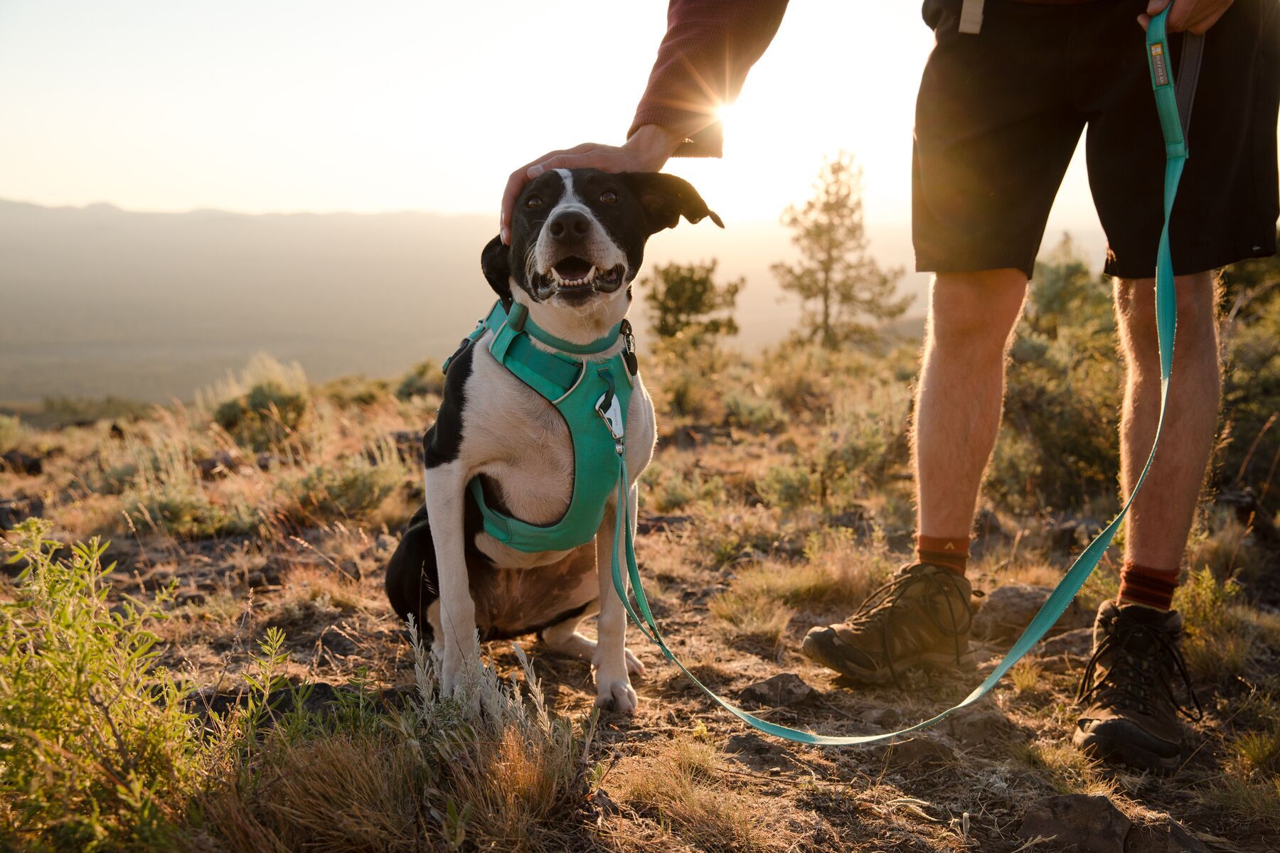 Ruffwear Hundeleinen Ruffwear Front Range™ Leine blau/ türkis
