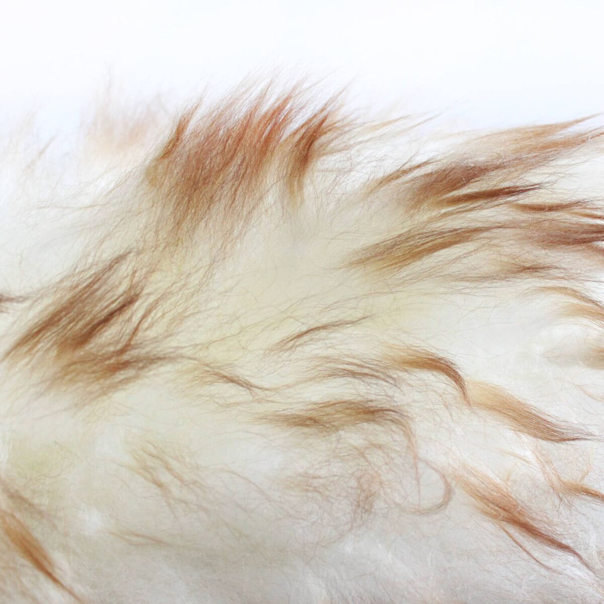 chemicalworkz Lambswool Duster Staubwedel