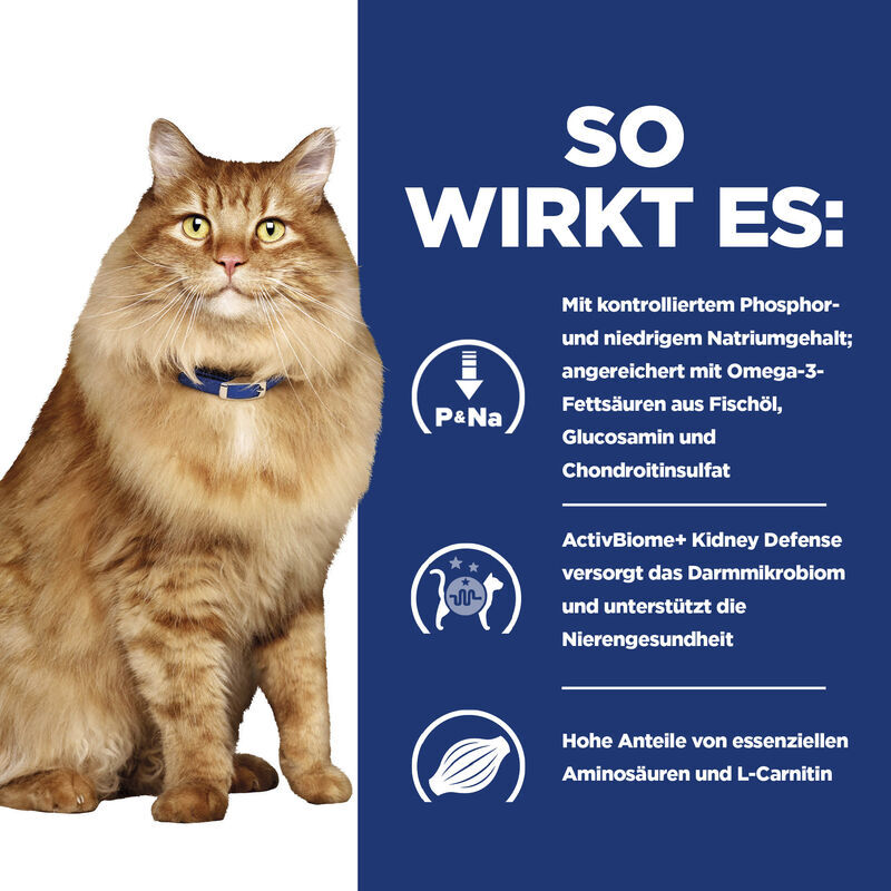 Hill's Nierendiät Hill's Prescription Diet k/d + Mobility Kidney + Joint Care 3 kg