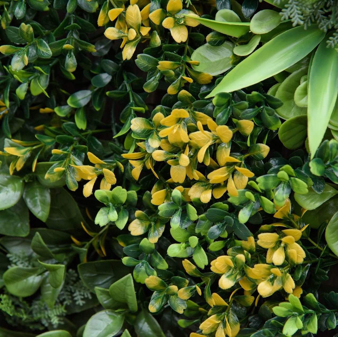 Outsunny 12 Stück künstliches Pflanzenwand Hecke 50x50 cm UV-Schutz Sichtschutz Mehrblättriges Design Heckenpflanze für Garten Outdoor Dekor