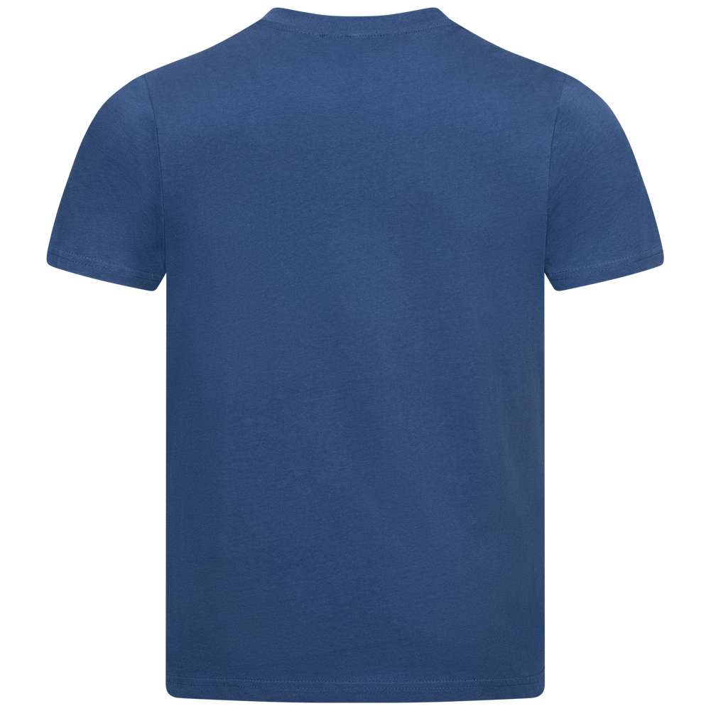 BEN SHERMAN Bold Stripe Panel Herren T-Shirt 0073037DARK BLUE