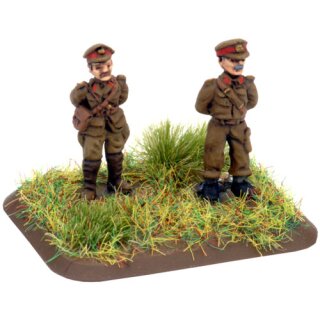 Monty & Objective (BR887)