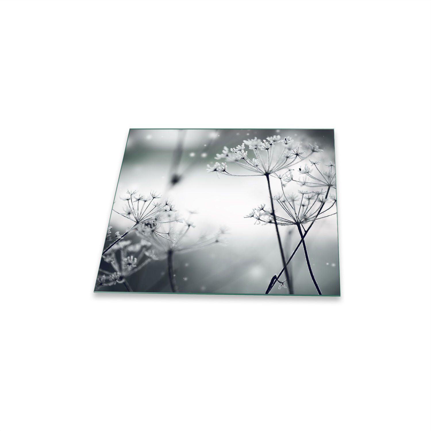 Decorwelt Herd-Abdeckplatte Pusteblume Grau, (1 tlg), für alle Herdarten excl. Gasherde
