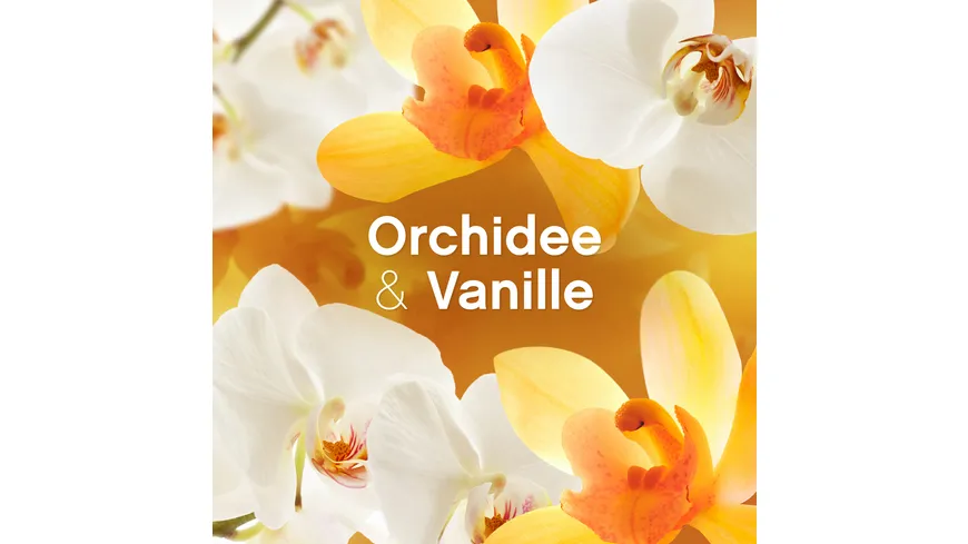 Lenor Orchidee & Vanille Flasche