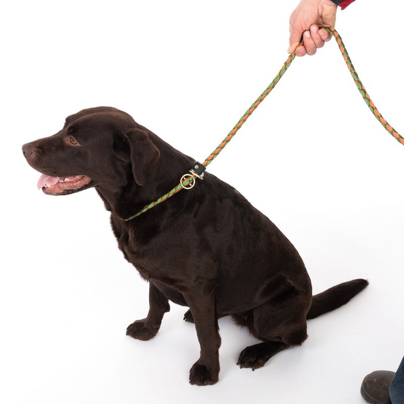 TIAKI Retrieverleine Twist zu TOP-Preisen
