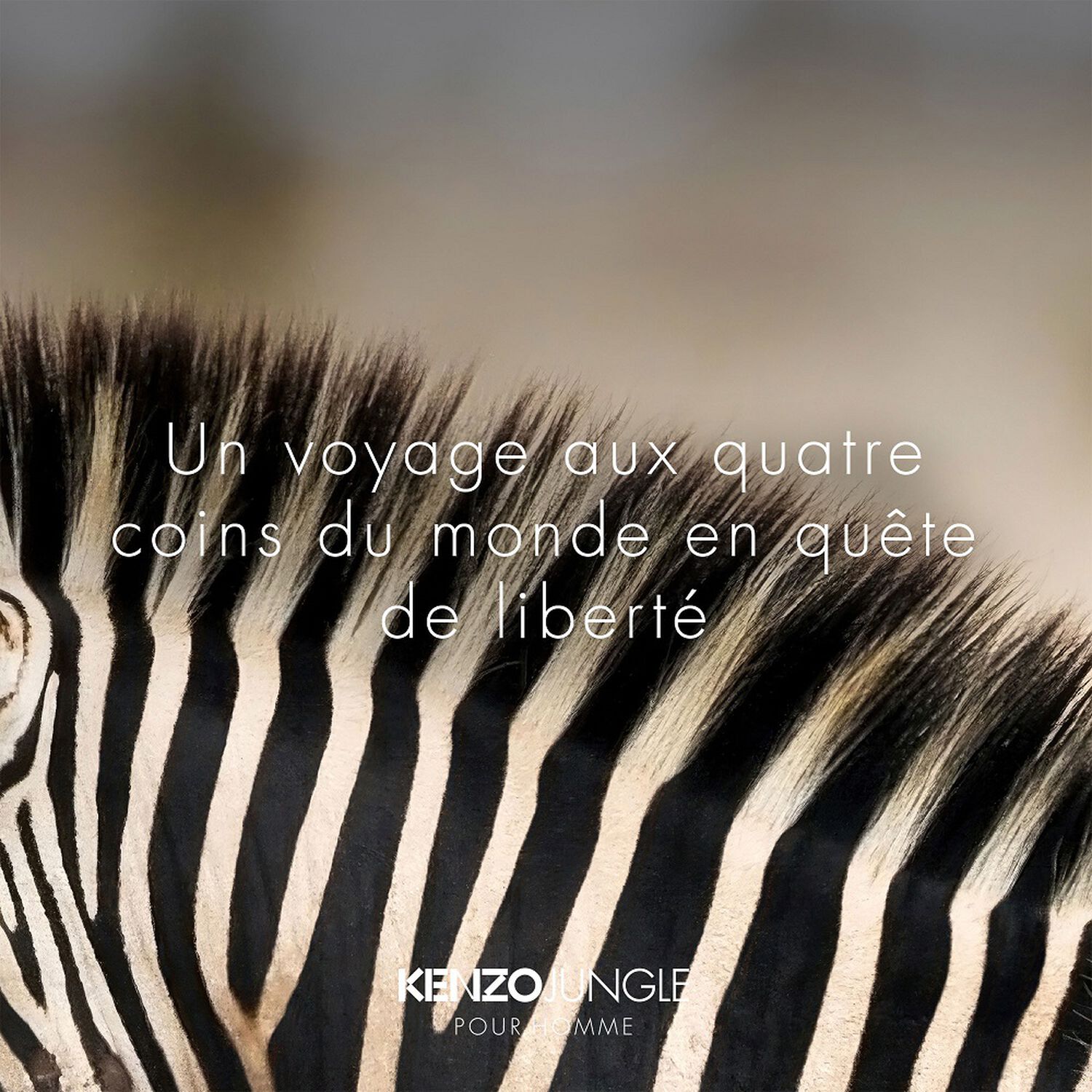 Kenzo Kenzo Jungle Homme Eau de Toilette
