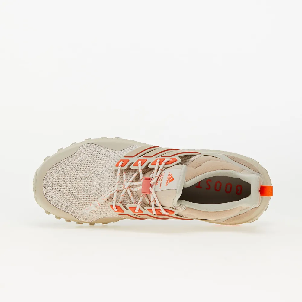 adidas UltraBOOST 1.0 Atr IF9072 / grau