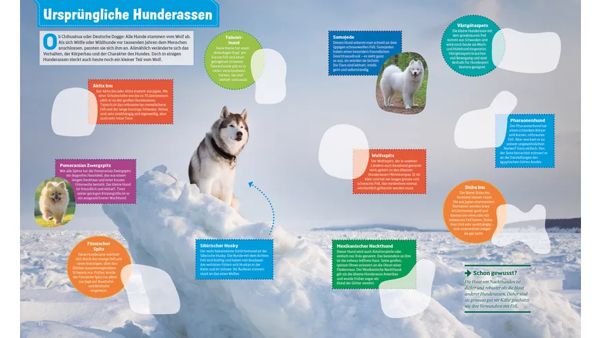 WAS IST WAS Stickerheft Hunde