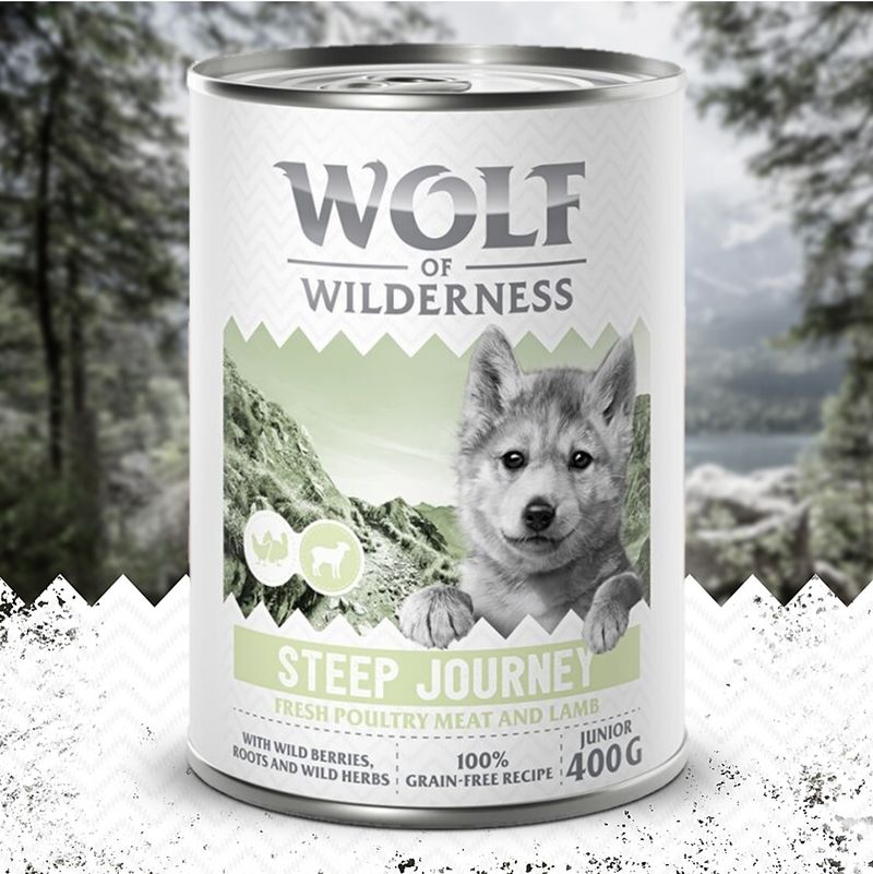 Wolf of Wilderness Junior “Expedition” 6 x 400 g
