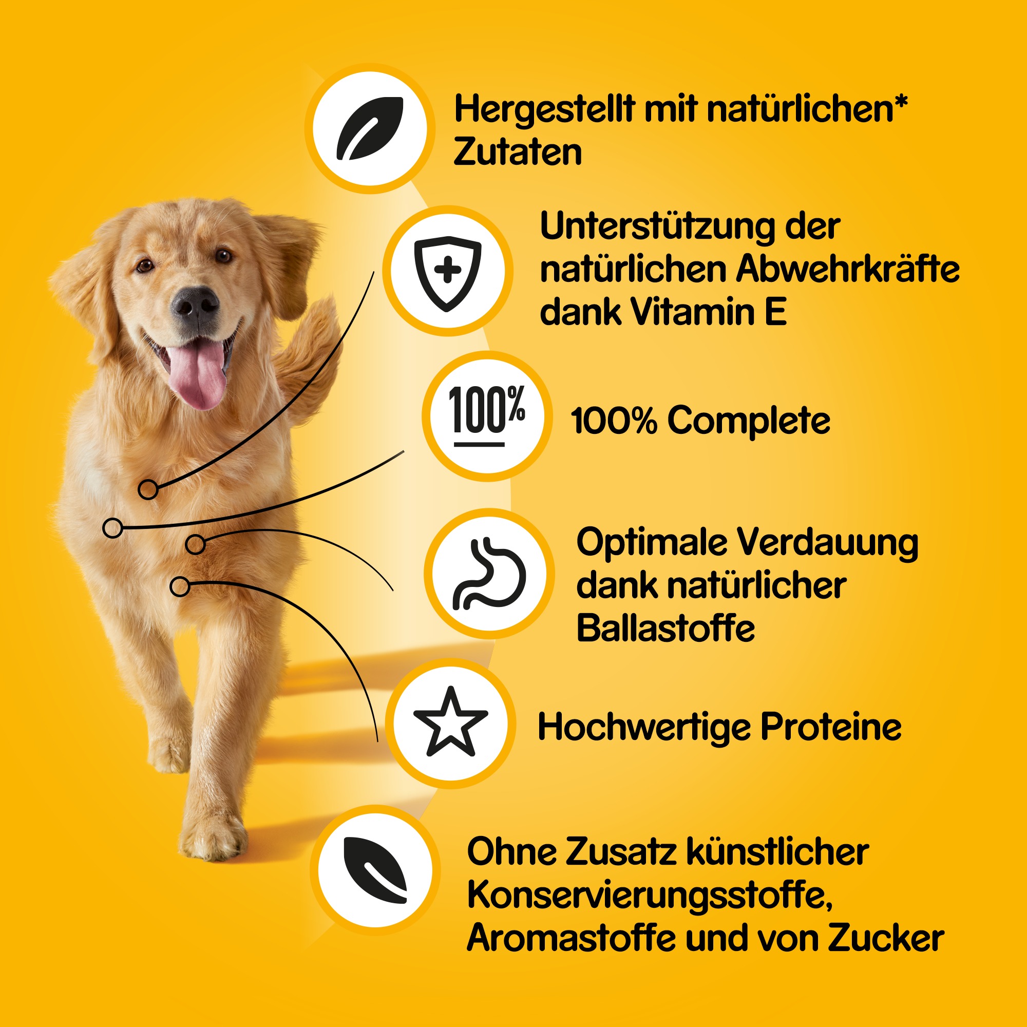 Pedigree Hundenassfutter Pedigree Classic 12x400g 3 Sorten Rind, Lamm & Huhn