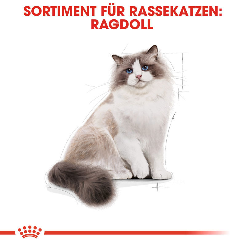 ROYAL CANIN Trockenfutter ROYAL CANIN Ragdoll Adult 2x10 kg