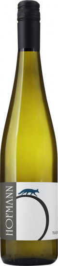 2022 Riesling Ried Fuchsenrand Traisental DAC trocken Bio - Weingut Rudolf Hofmann
