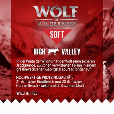 Wolf of Wilderness 