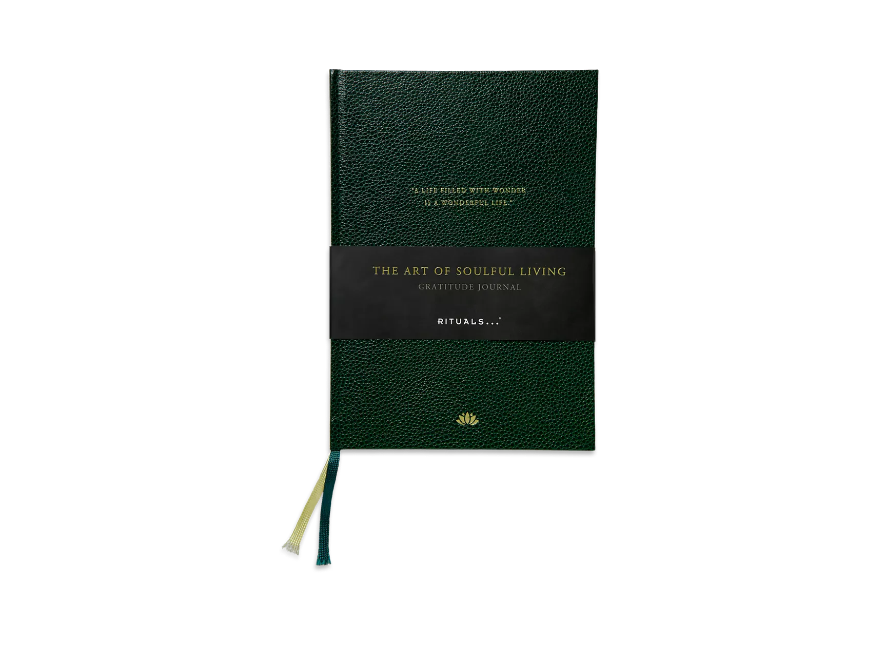 Journal de gratitude