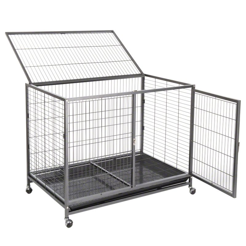 Zimmerkennel Tabby zu TOP-Preisen % | bitiba