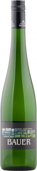 2022 Grüner Veltliner FEUERSBRUNN trocken - Weingut Josef Bauer