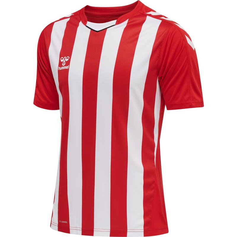 hummel hmlCORE XK STRIPED JERSEY S/S Trikot Herren