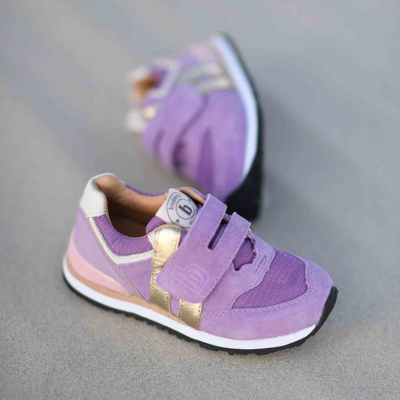 winston s lavender - Violett