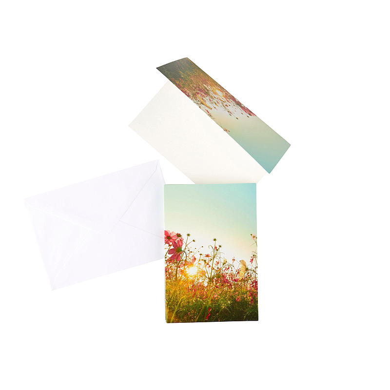 Kort blomstereng