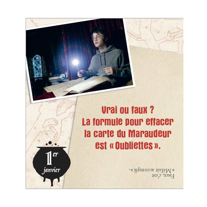 Mini calendrier 365 jours Harry Potter - Play Bac