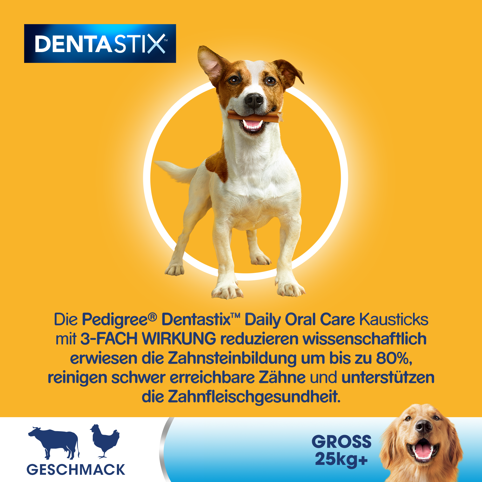 Pedigree Snacks Pedigree Zahnpflege Dentastix Daily Oral Care Multipack Maxi, 26-44kg, 21x