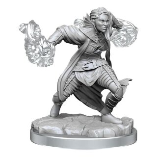 D&D Nolzur's Marvelous Miniatures: Half-Elf Warlock (2)