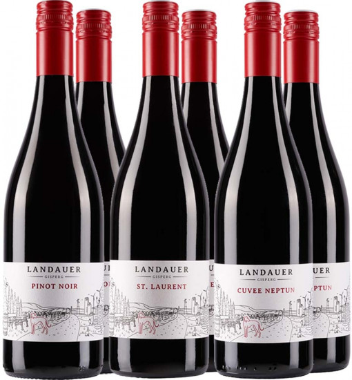 Landauer Gisperg „Rotwein Klassik“ Kennenlernpaket - BIO Weingut Landauer-Gisperg