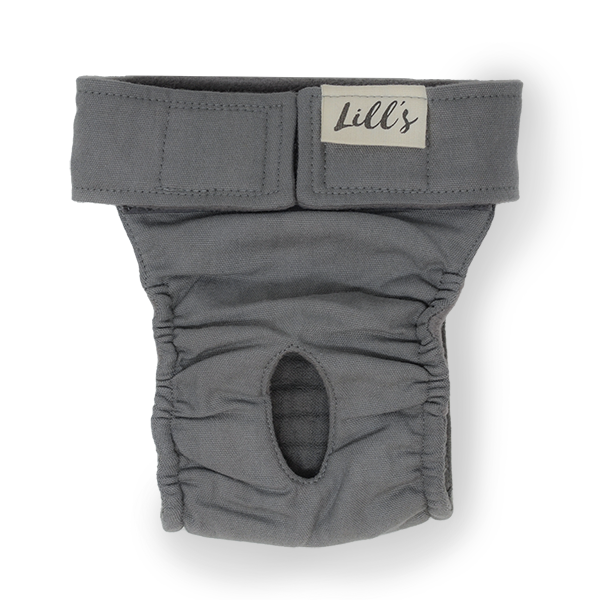 Lills Windeln & Hygiene Lills Läufigkeitshöschen 