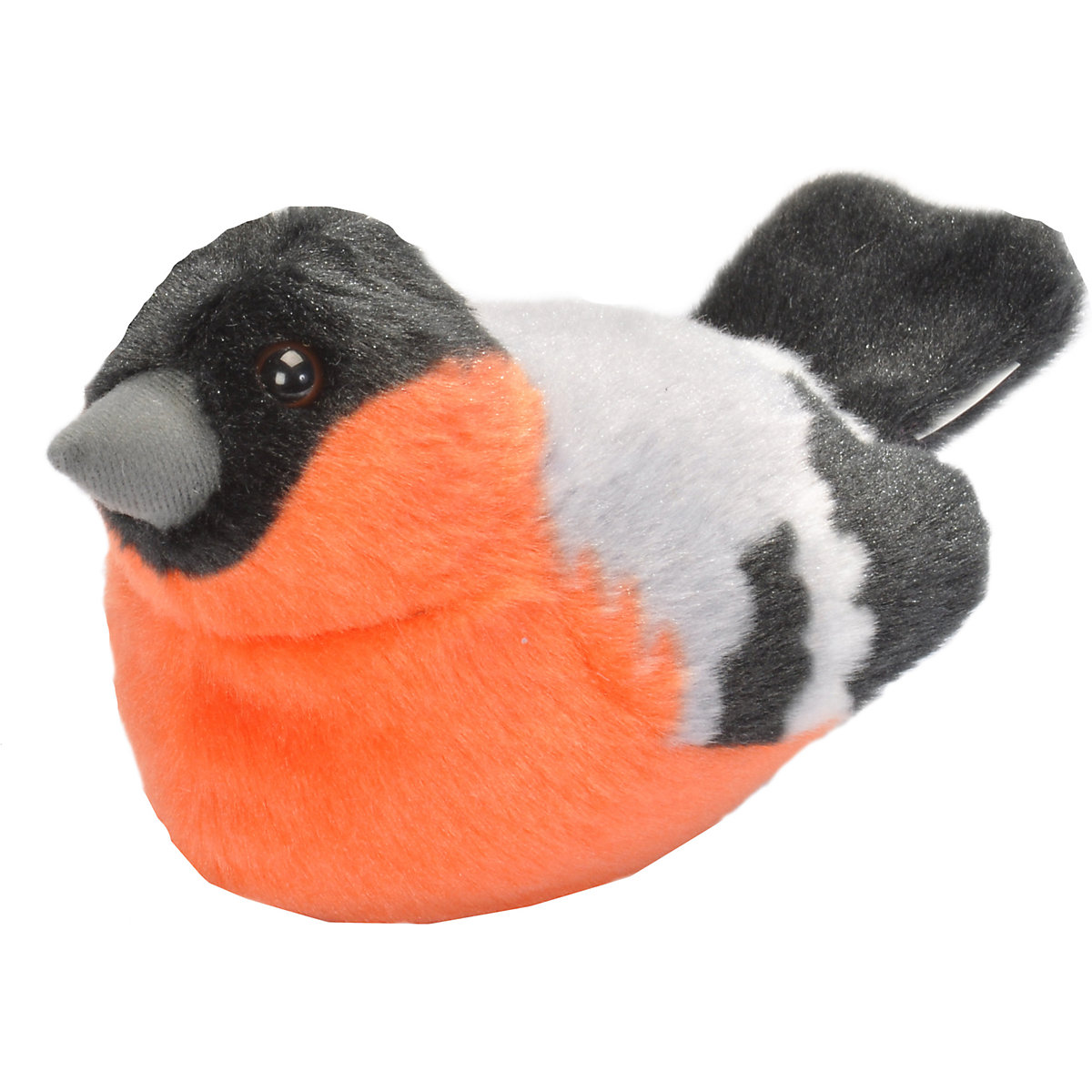 Singvogel Gimpel