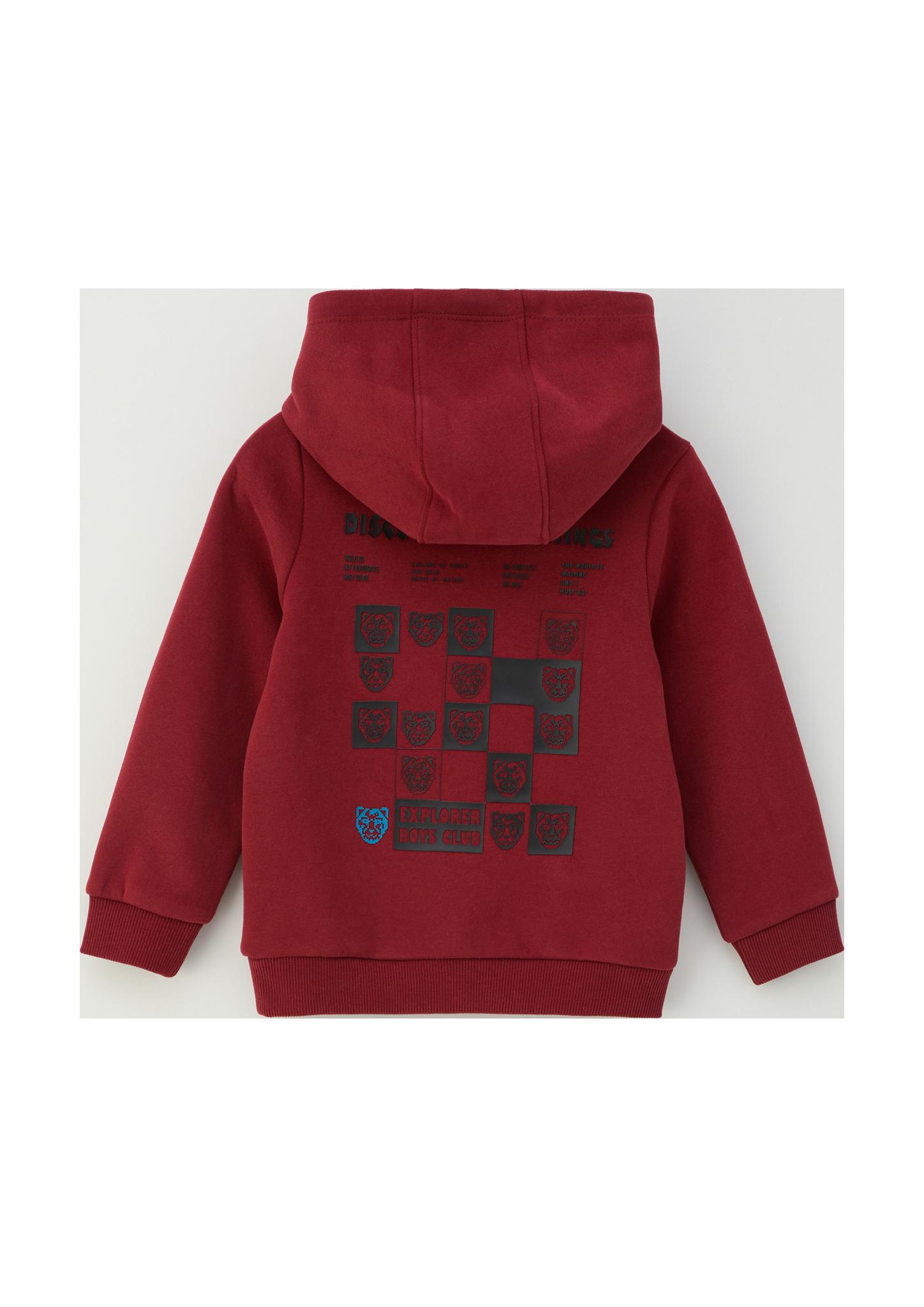 Kapuzensweatshirt mit weicher Innenseite  2134179-3865
