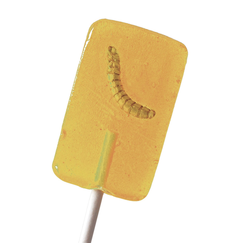 Snack-Insects Lolli Mehlwurm 20g