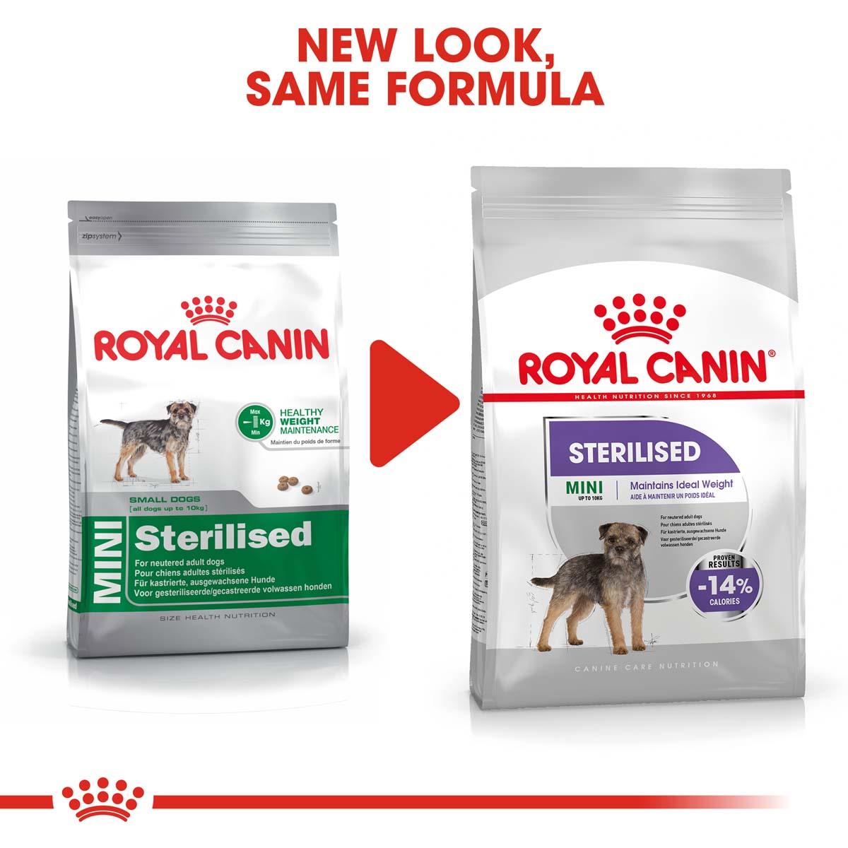 ROYAL CANIN STERILISED MINI Trockenfutter für kastrierte kleine Hunde
