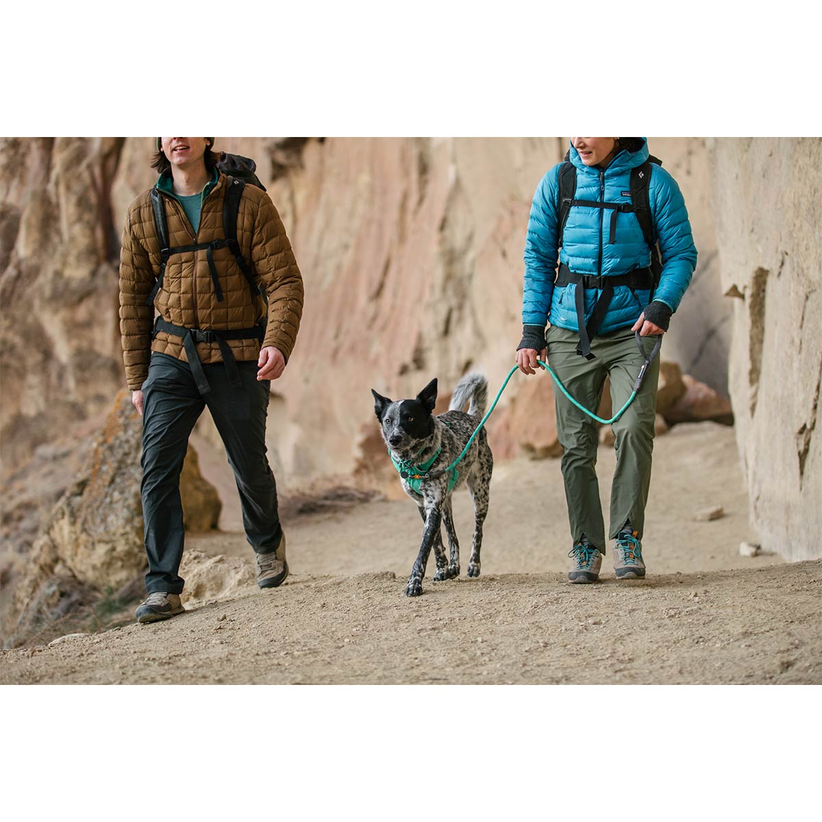 Ruffwear Knot-a-Leash Leine 7? günstig kaufen bei ZooRoyal
