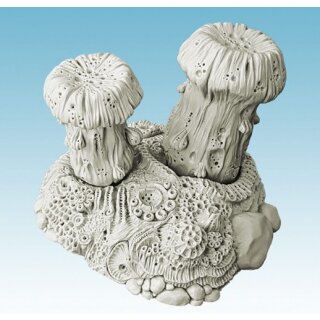 Tathea Cyst Fungus v.2