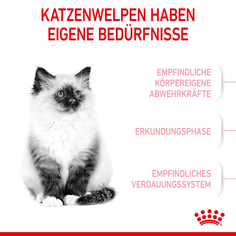 ROYAL CANIN Trockenfutter ROYAL CANIN Kitten 10 kg