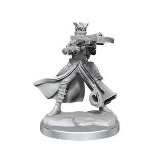D&D Frameworks: Tiefling Rogue Female