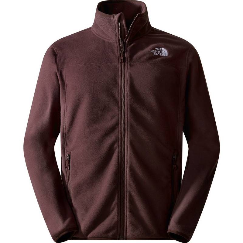 The North Face 100 GLACIER Fleecejacke Herren